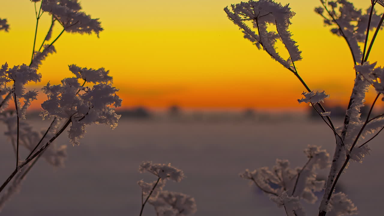 아름다운 오렌지색 일몰 하늘을 가진 얼어붙은 나뭇가지나 잔가지를 닫습니다