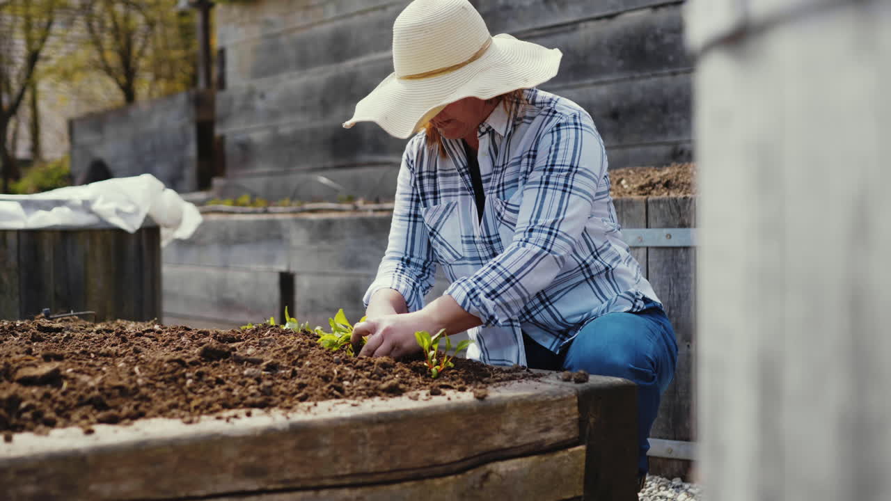Woman Planting Seedlings in a Raised Garden Bed