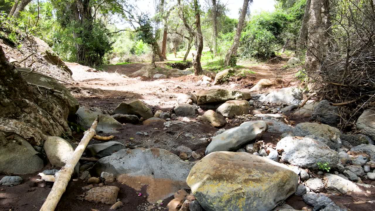 cielo de la aldea al aire libre hermoso paisaje de la aldea del bosque del paisaje aéreo - fotografía aérea del bosque rural kenia - controlador inalámbrico de drones quadcopter