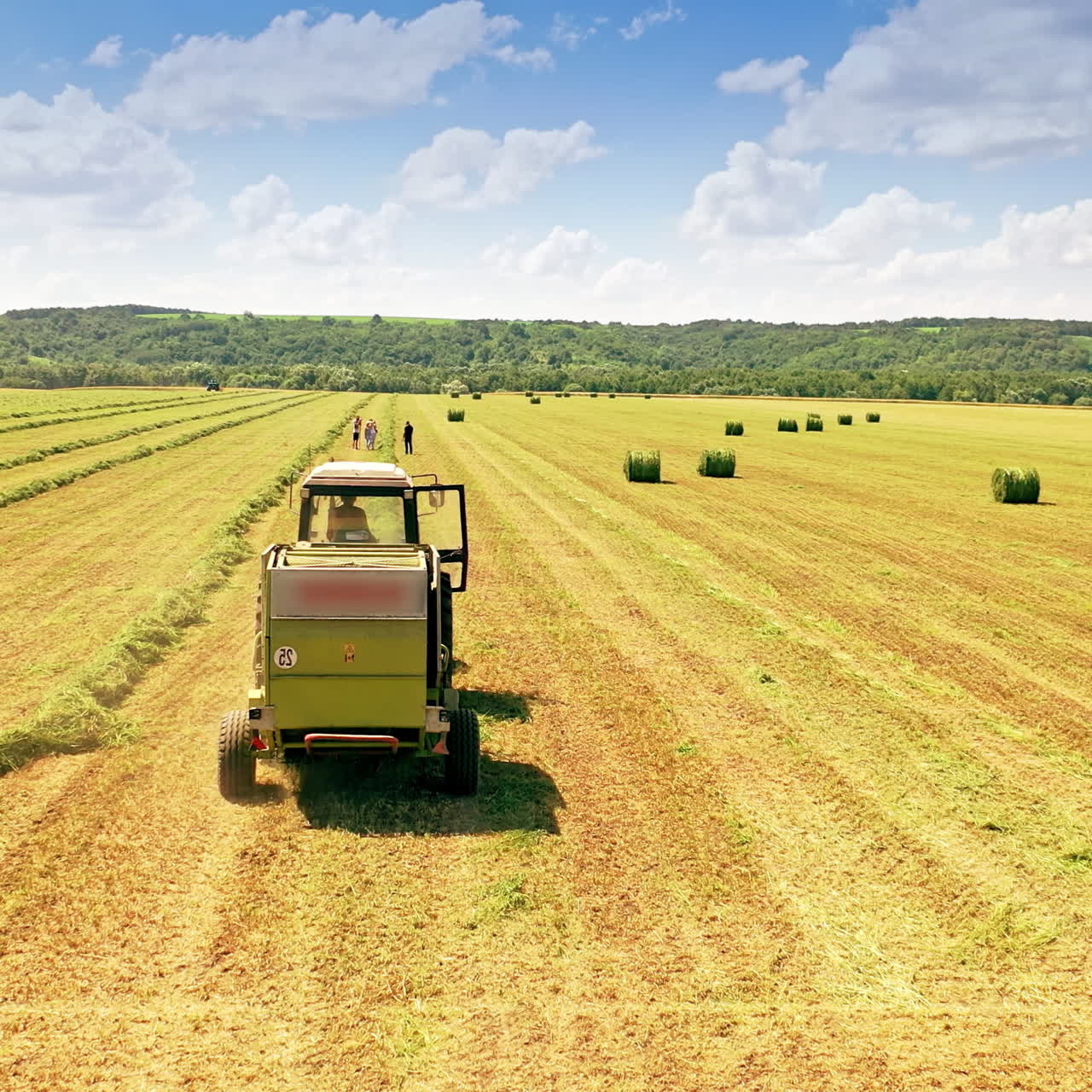 Agricultural machinery pressing grass in the field in summer. Tractor collects the green grass and press it in bales on the background of wide field with many round bundles outdoors.