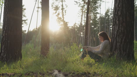 woman sitting alone in a forest at sunset