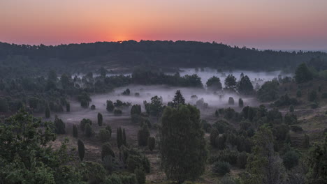 Sonnenaufgang-Im-Zeitraffer-Mit-Nebel-In-Heidelandschaft