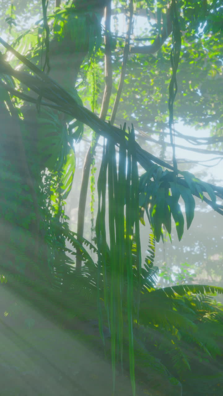 la luz del sol brillando a través de los árboles en un exuberante bosque tropical