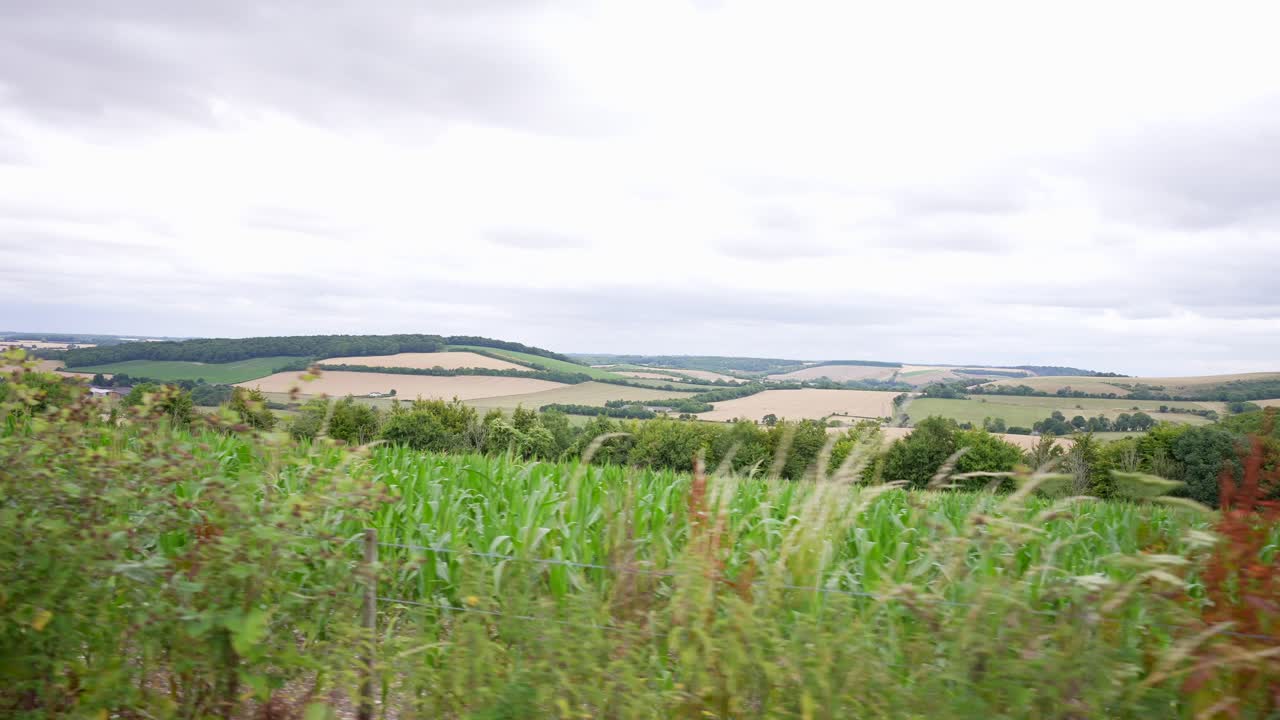 Driving fast by fields of wheat and corn on a bright cloudy day