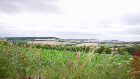 Driving-fast-by-fields-of-wheat-and-corn-on-a-bright-cloudy-day