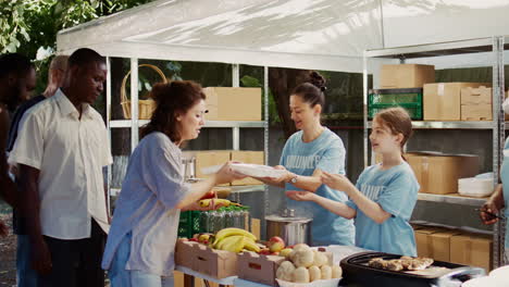 volunteers helping the hungry with care