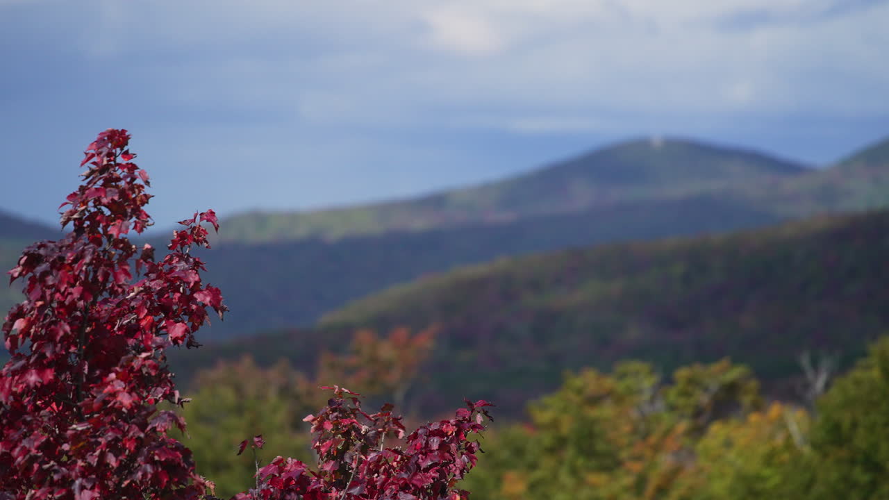 montañas de nueva inglaterra con colores otoñales en los árboles 4k 60p