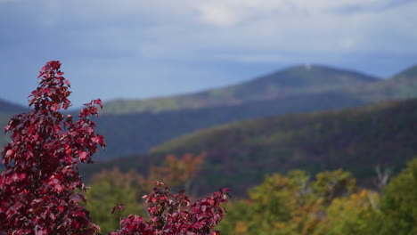 new england mountains with autumn fall colors in trees 4k 60p