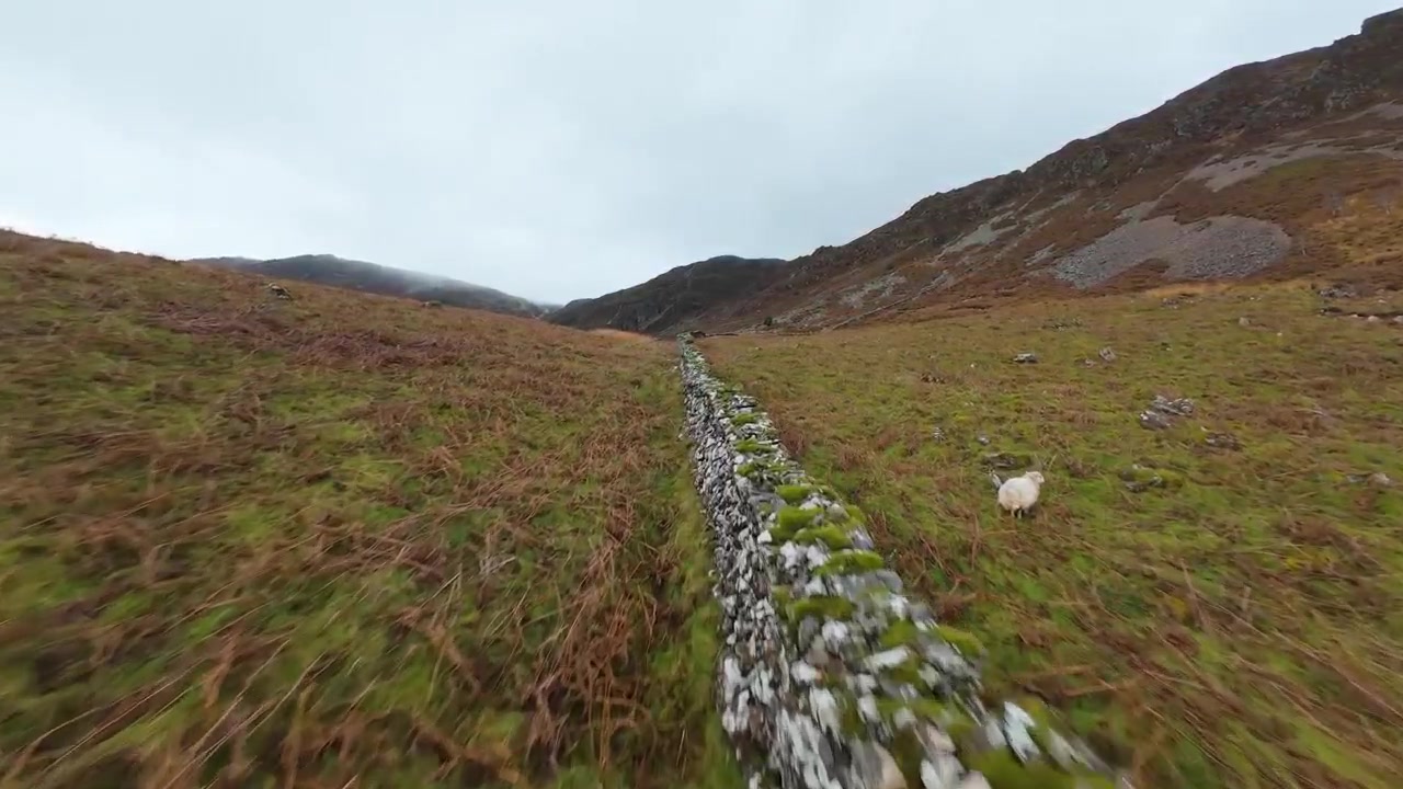 Dynamic first person aerial view flying fast along an ancient dry stone wall that winds through a remote, rugged valley in the scottish highlands on an overcast day