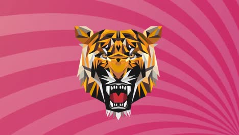 Animation-of-tiger-face-icon-against-radial-rays-in-seamless-pattern-on-pink-background