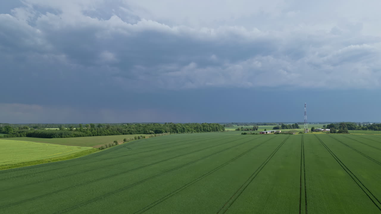 파란 하늘 아래의 농업 풍경과 함께 상록 평야