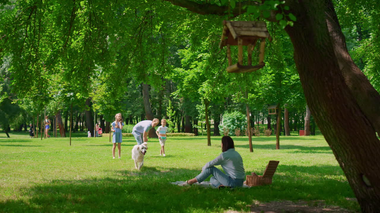 hermoso labrador jugando con la familia en el picnic. madre llamando perro juguetón.