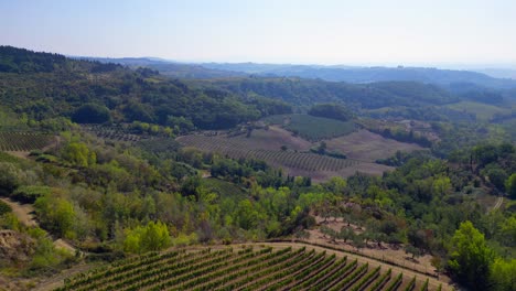 great aerial top view flight tuscany valley wine growing area winefield ttaly nature