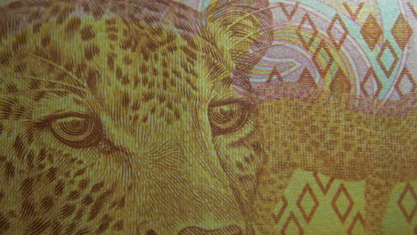 This-is-the-Macro-view-of-a-normal-paper-banknote--money--currency-of-200-South-African-Rand