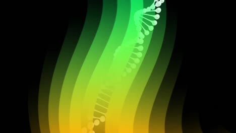 Animation-Eines-DNA-Strangs,-Der-Sich-über-Grün-Leuchtende-Wellen-Dreht