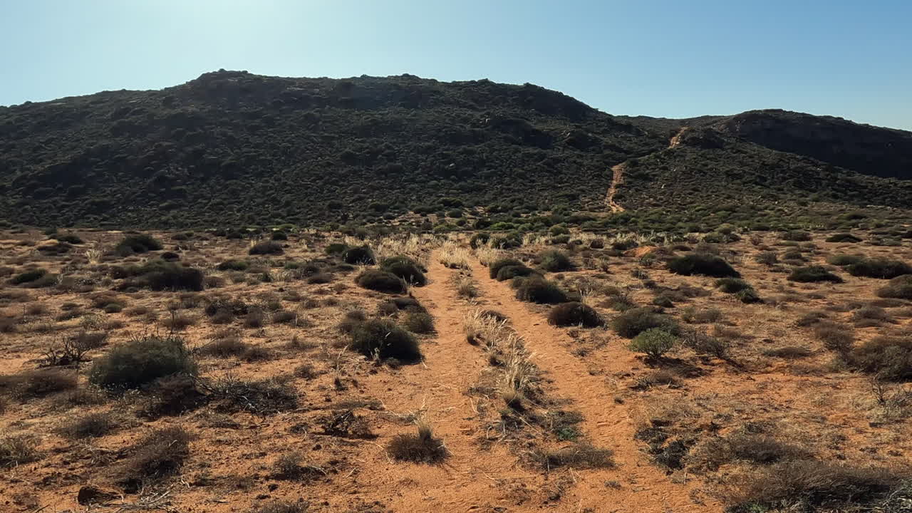 Rugged golden desert two-track road climbs to arid hill landscape