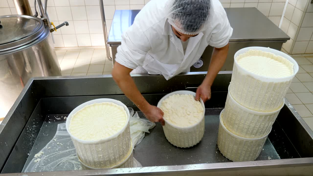 Cheese diary factory- man at work. Making cheese