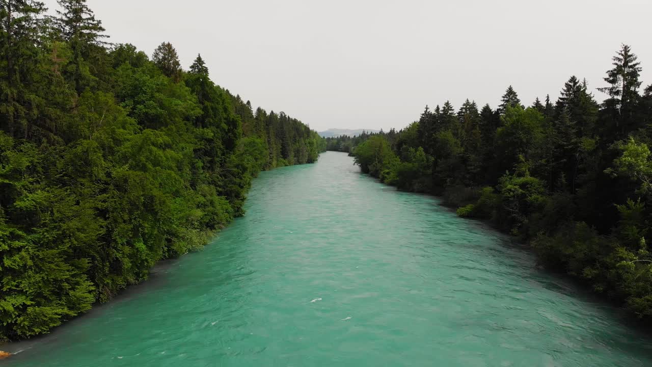 Veduta aerea di un fiume circondato da foresta