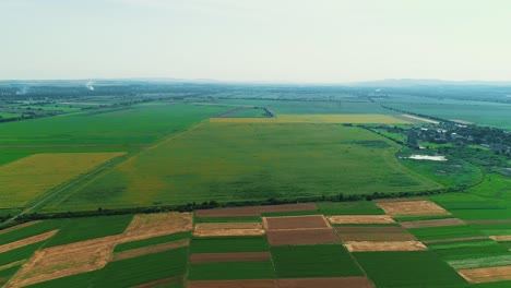 aerial footage of green grass landscape worked by farmer mowed and poughed fields after sowing.