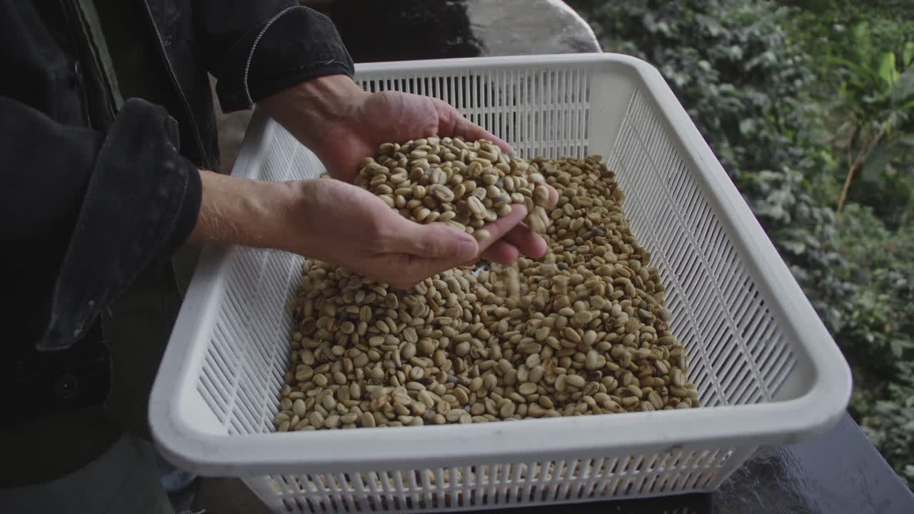 Coffee Bean Processing