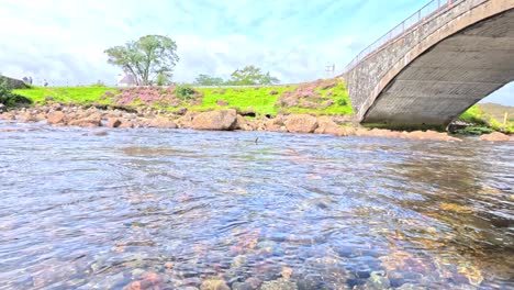 camera transitions from a clear underwater view of rocky streambed to an above-water shot of a stone bridge and lush riverside landscape in daylight