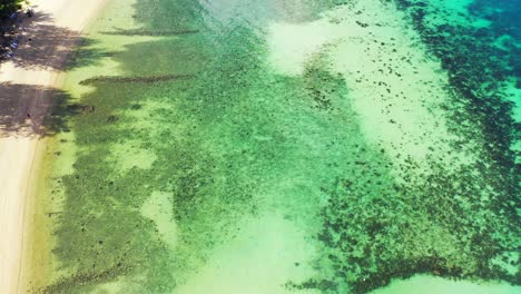 beautiful sea texture with coral reef patterns and rocky seabed under calm water of shallow lagoon near sandy shore of tropical island in thailand