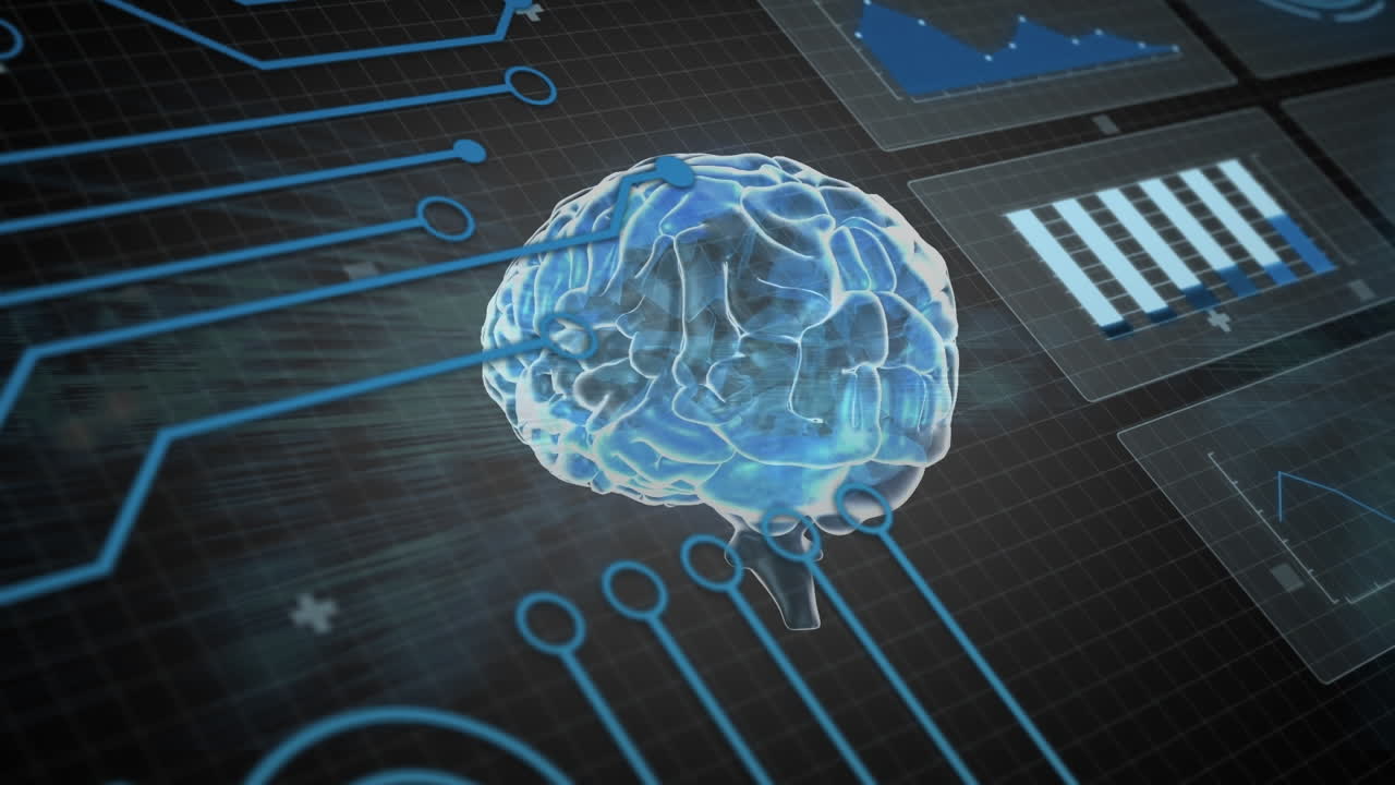 Animation of graphs, circuit board pattern and human brain over abstract background