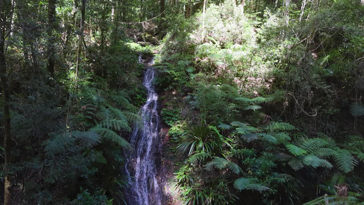 A serene waterfall in lush rainforest