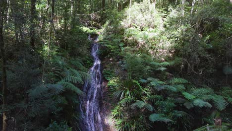 a serene waterfall in lush rainforest