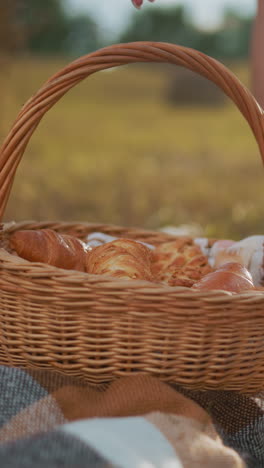 una manta de picnic a cuadros en un campo de hierba con una mujer con sandalias blancas bajando una canasta tejida llena de bocadillos, la suave luz del sol arroja tonos cálidos sobre la bala de heno y el campo abierto