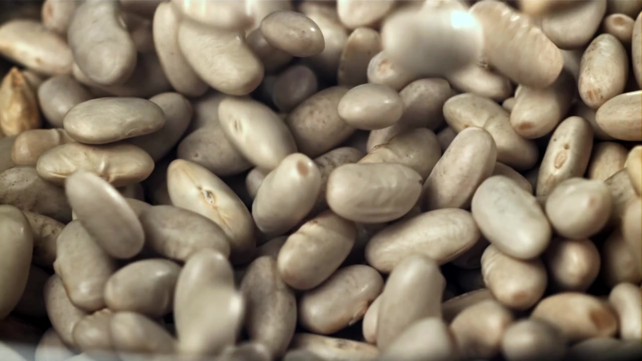 Dry White Beans Falling in Slow Motion