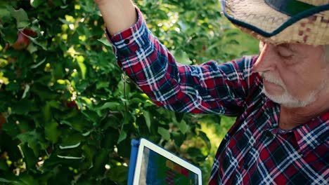 cámara lenta de la tecnología digital utilizada en el huerto de manzanas