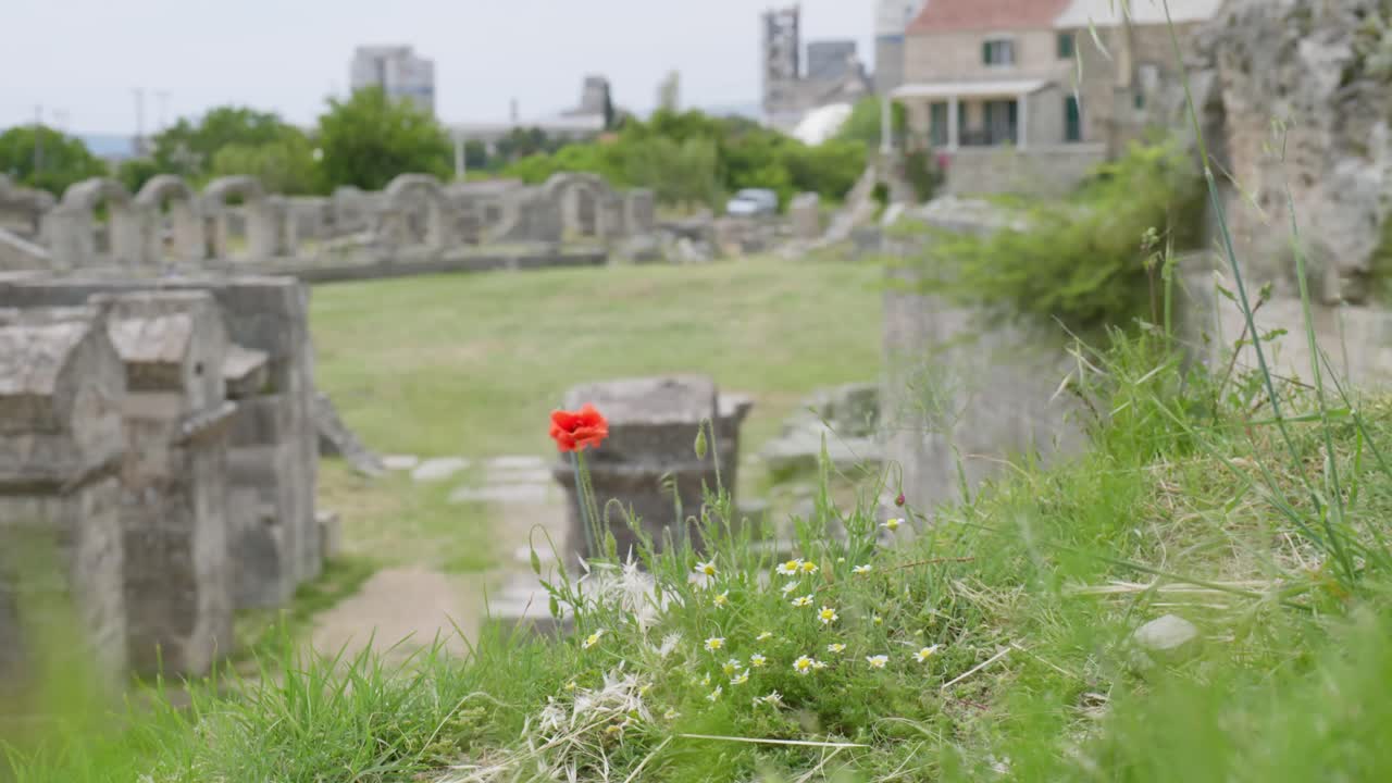 Roman ruins from the ancient province Capital of Dalmatia. Salona, Croatia, clip 15