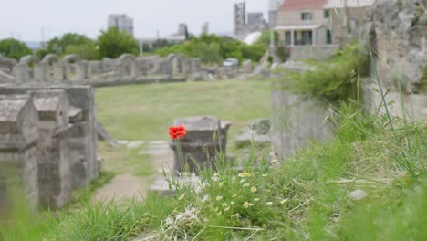 roman ruins from the ancient province capital of dalmatia. salona, croatia, clip 15