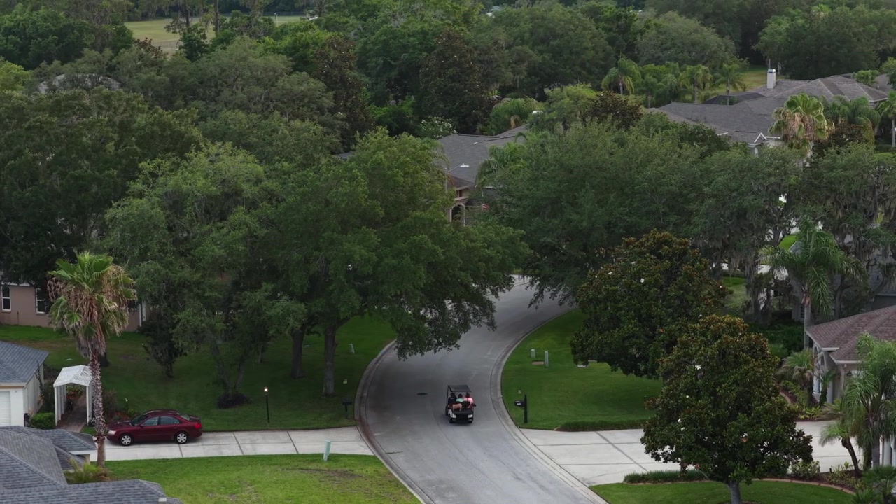 Una golf cart percorre una strada suburbana curva fiancheggiata da alte querce, una berlina parcheggiata, palme, prati curati, tetti con tegole grigie, a Plant City, Florida, Stati Uniti. Vista aerea da drone.