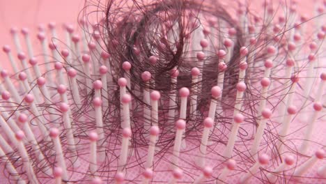 close-up of a hairbrush with tangled hair