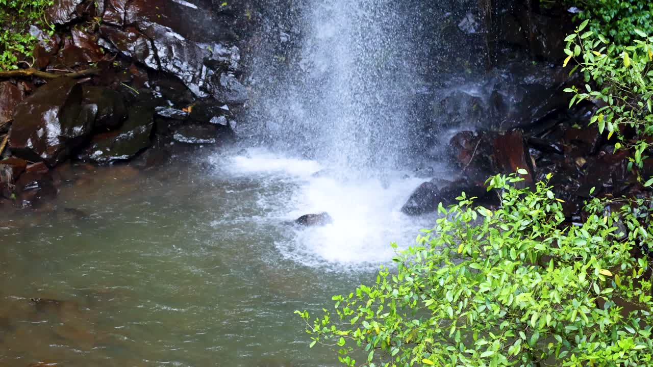 A steady, close-up shot of a small waterfall pours over dark rocks into a tranquil pool, surrounded by lush green foliage in natural daylight