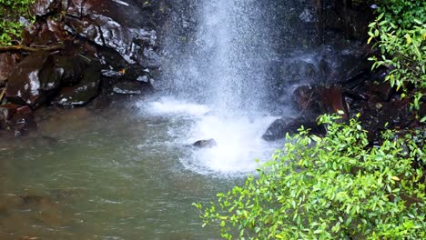 a steady, close-up shot of a small waterfall pours over dark rocks into a tranquil pool, surrounded by lush green foliage in natural daylight