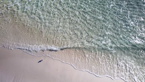 Strandläufer-An-Einem-Leeren-Weißen-Sandstrand-Mit-Smaragdgrünem-Wasser