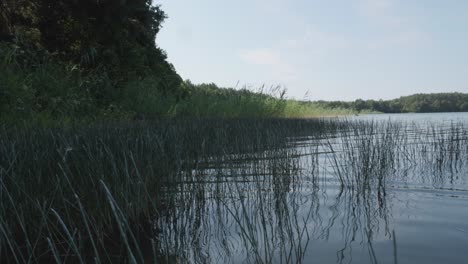 Blick-Auf-Den-Wdzydze-See-In-Polen