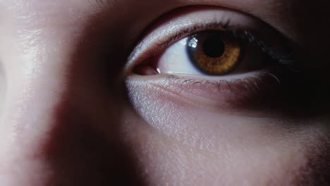 close-up of human eyes