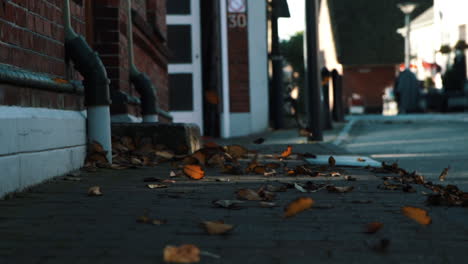 brown leaves moved by the wind on the pavement on a windy autumn day