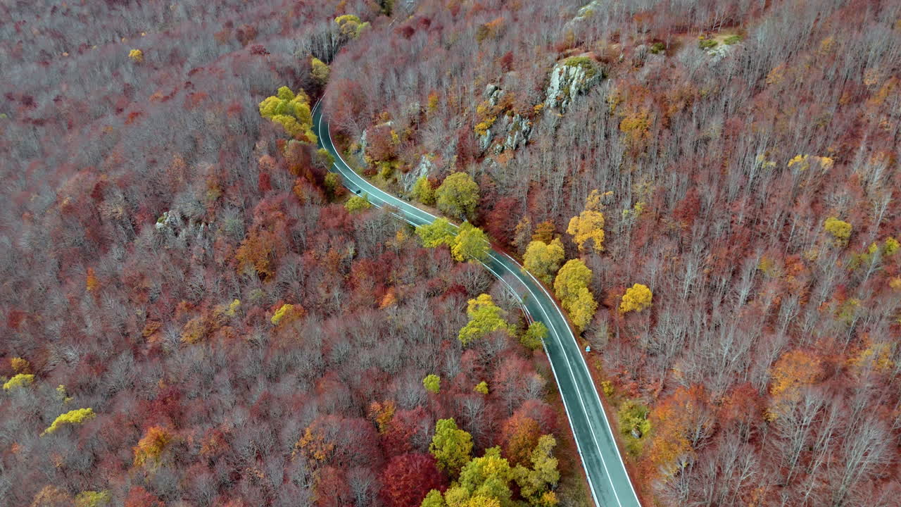 Aerial view of winding autumn road through vibrant fall-colored forest