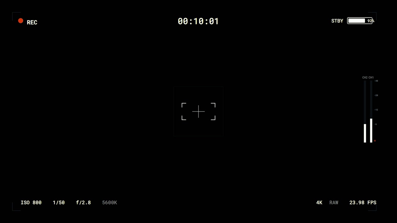 Digital Camera Viewfinder Interface Recording Overlay