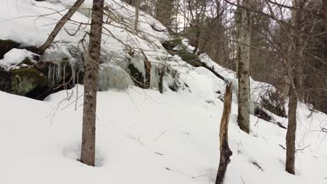 POV-footage-of-hiking-in-a-snowy-winter-forest