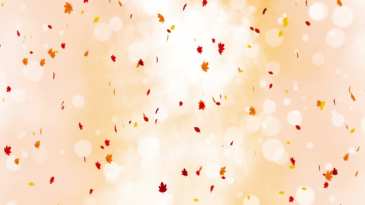 빛 은 잎은 빛과 함께 가을의 배경에서 흔들립니다. 아름다운 자연 장면. 일러스트레이션 메이플 잎. 가을 추상적인 그래픽. 루프 애니메이션.