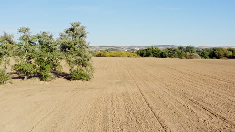 Trockenes-Braunes-Feld-Mit-Einem-Baum-Im-Ländlichen-Spanien,-Europa,-Luftaufnahme-Nach-Hinten