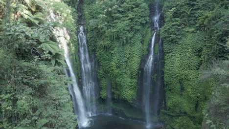 bali jungle retiros aéreos desde la hermosa cascada natural de sekumpul