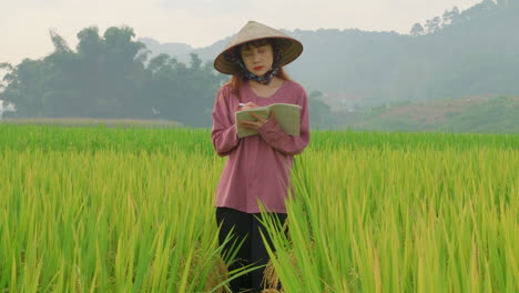 Joven-Agricultora-Asiática-Revisando-La-Cosecha-De-Plantaciones-De-Arroz-Antes-De-Cosechar-Tomando-Nota-Con-Un-Cuaderno-Usando-Un-Tradicional-Sombrero-De-Arroz-Vietnamita