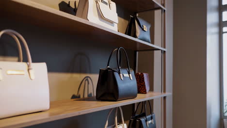 handbags on display shelves